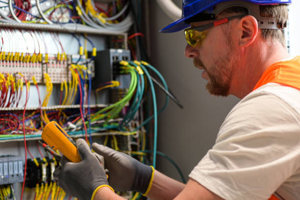 Best Electrician for Home Renovation  in Dunnavant, AL